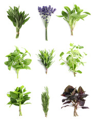 Set with different aromatic herbs on white background, top view