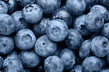 Tasty fresh ripe blueberries as background, top view