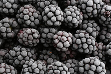 Tasty frozen blackberries as background, top view