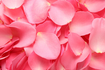 Naklejka premium Fresh pink rose petals as background, closeup