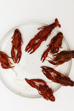 Crawfish 2