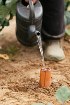 Filling an olla clay pot with water