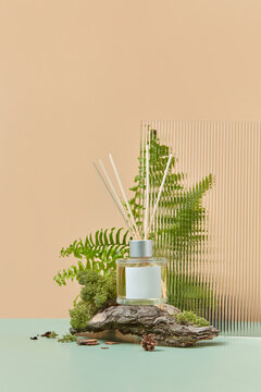 Glass aroma diffuser with wood and fern leaves.