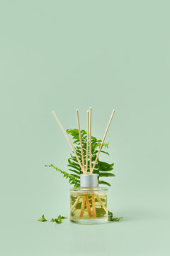 Aroma Diffuser With Glass Panel And Fern Leaves.