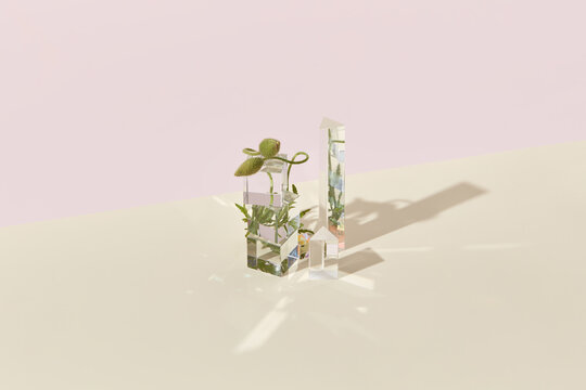 Poppy plant and geometric glass figures.