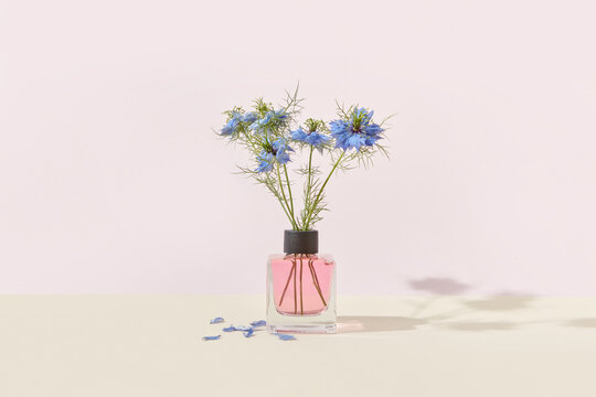 Aroma diffuser with love-in-a-mist flowers.