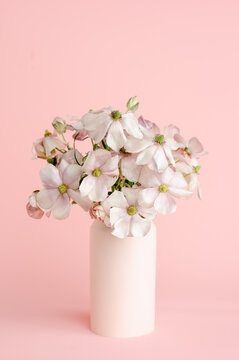 Pink butterfly ranunculus in a pastel vase