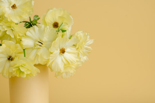 Up close of pastel ranunculus flowers