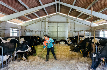 Young livestock farmer