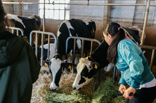 Young livestock farmer