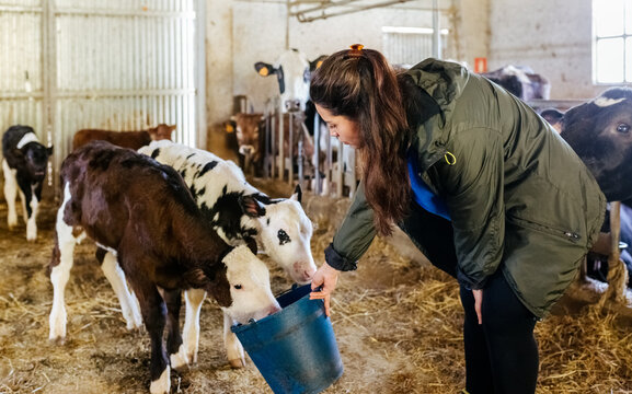 Young livestock farmer