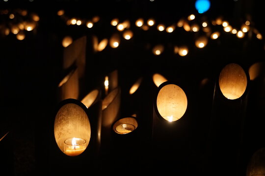 Asticothérapie Images Parcourir 2,566 le catalogue de photos