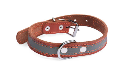 Brown leather dog collar isolated on white