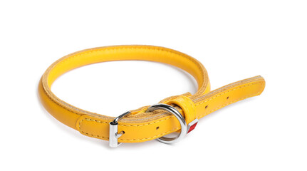 Yellow leather dog collar isolated on white