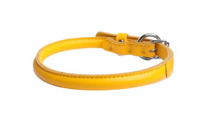 Yellow leather dog collar isolated on white