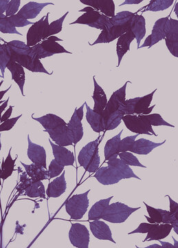 Leafy background, pattern