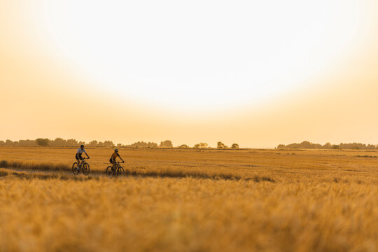 Two mountain bikers between wheat fields