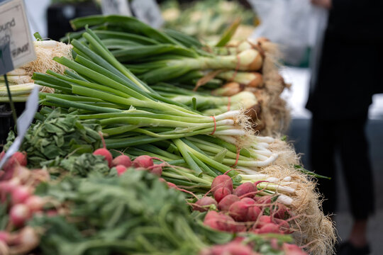 Organic Scallions And Veggies