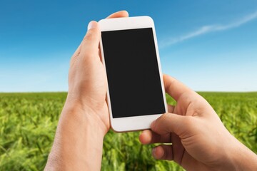 Farmer's holds a smartphone on a background of a field with a plantation. Scientific research.