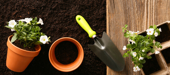 Set of gardening tools on soil, top view