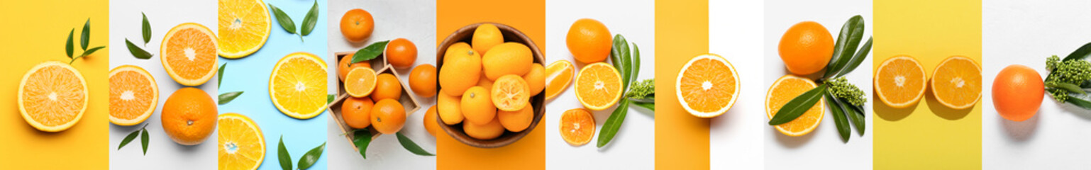 Collage with sweet ripe oranges, tangerines and kumquats