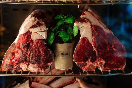 Big chunks of raw dry-aged steak meat