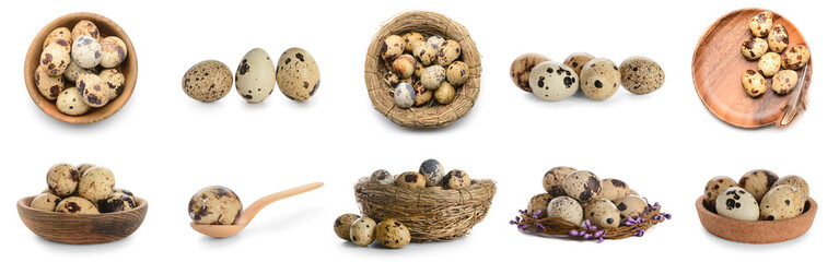 Set of fresh quail eggs isolated on white