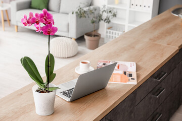 Beautiful orchid flower and laptop on kitchen counter
