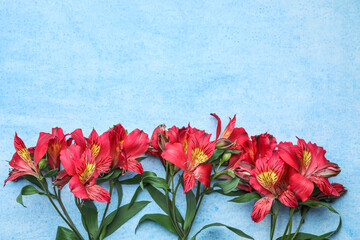 Beautiful red alstroemeria flowers on color background