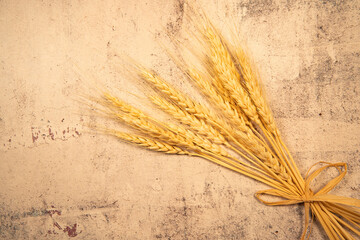 秋の収穫を終えたばかりの小麦の穂