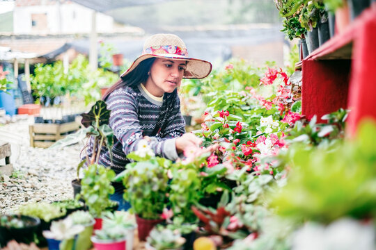 Adult woman looking for plants in a nursery