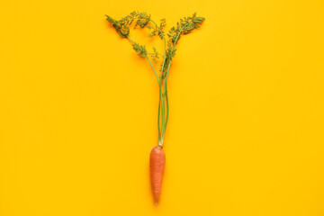 Fototapeta premium Fresh carrot with leaves on color background