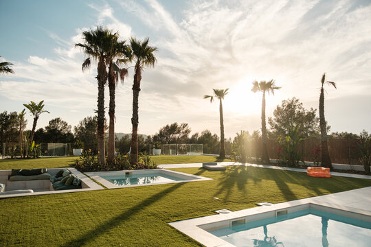 Garden with palms and pools