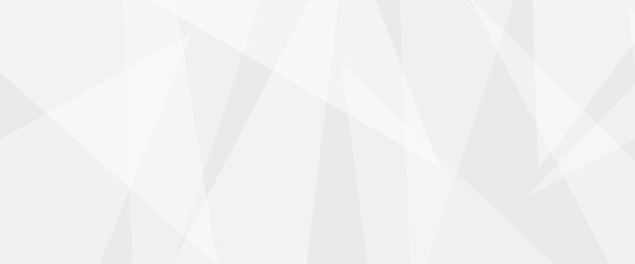 Abstract background with gray background with texture, white abstract modern background. Geometry shine and layer element vector for presentation design. Decorative web layout or poster, banner.design