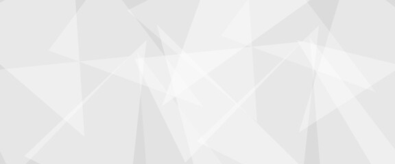 Abstract background with gray background with texture, white abstract modern background. Geometry shine and layer element vector for presentation design. Decorative web layout or poster, banner.design