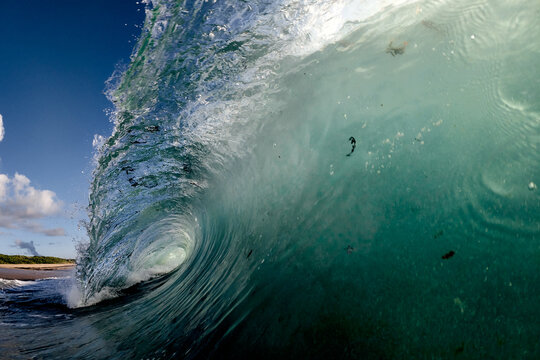 A Barreled wave hits the beach