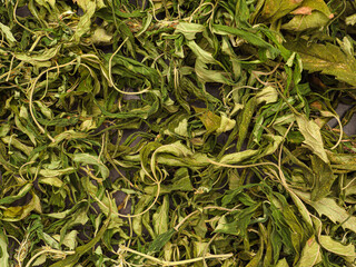 Top view of dry cannabis leaf tea. Textured marijuana leaves