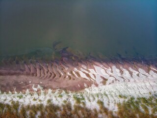 Sand dunes on the banks of the Ob River. contrast light.