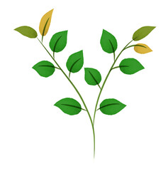 Watercolor birch twig