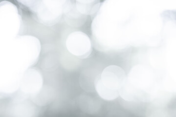 Obraz premium White blurred abstract background. grey abstract background. soft backdrop of nature abstract background. used for wallpaper or background