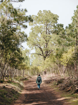 Woman walking in forest 