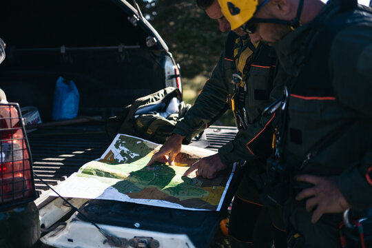 Forest service working in the forest