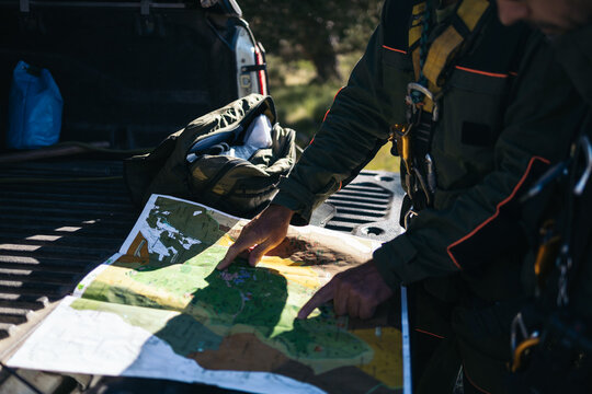 Forest service working in the forest