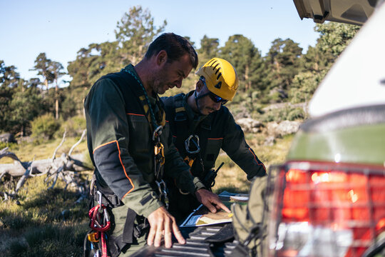 Forest service looking a map in the forest