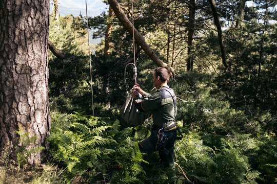 Ranger officers working on a vulture rescue