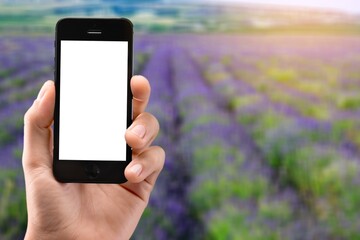 Farmer's holds a smartphone on a background of a field with a plantation. Scientific research.