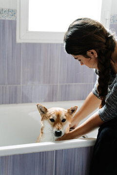 Woman bathing dog in bathtub.