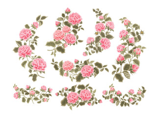 Vintage Aesthetic Pastel Pink Rose, Peony Flower, and Blossom Floral Bouquet Arrangement Collection