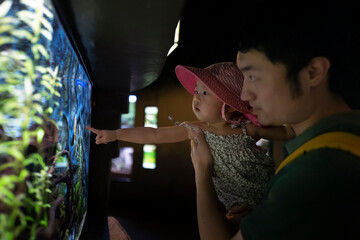 Asian baby visiting the aquarium with father