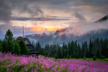 Beautiful summer morning in the mountains - Hala Gasienicowa valley in Poland - Tatras